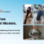 AI-Modeled Fashion Revolution: ‘MagicModel by woww.ai’ Unveiled – Transforming Simple Photographed Apparel into Realistic Model Images for a New Era in Fashion and E-commerce Innovation