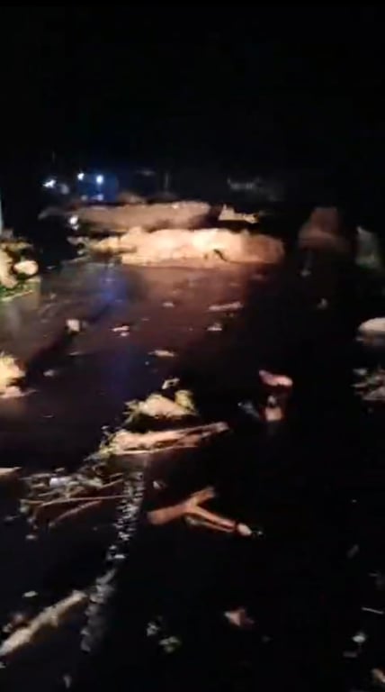 Kementerian PU Terlibat dalam Penanganan Dampak Banjir Bandang di Pemalang, Jawa Tengah