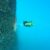 Inspeksi Bawah Air dengan ROV QYSEA Fifish X1