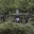 Inspeksi Aset Transmisi Listrik Berbasis Drone LiDAR