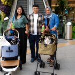 Main Bareng Anabul Di Grand Galaxy Park yang Cat Friendly