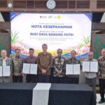 PTPN Group Akselerasi Swasembada Bawang Putih Nasional