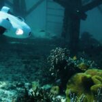 Bathymetry Survey dengan ROV: Cara Memetakan Dasar Perairan Secara Akurat