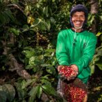 Kebun Kopi Ijen, Warisan yang Terus Menghidupi