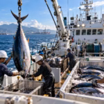 The RM100 Million Gamble: How Malaysia’s 13th Malaysia Plan Is Rewriting the Rules of Deep-Sea Fishing