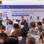 Dukung Kesehatan Ibu dan Anak, BRI Peduli Resmikan Posyandu Lily dan Kebun Pangan Perempuan di Yogyakarta